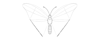how-to-draw-butterfly-2-10
