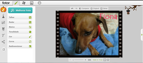 Editando fotos