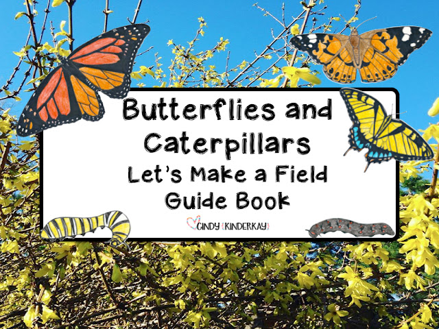 https://www.teacherspayteachers.com/Product/Butterflies-and-Caterpillars-Lets-Make-a-Field-Guide-Book-Science-Packet-233543