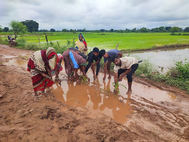 हाथीघाट का मुख्य मार्ग बना कीचड़ का दलदल, स्कूली बच्चों से लेकर ग्रामीण तक बेहाल