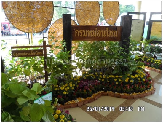 'งานเกษตรภาคอีสาน ขอนแก่น 2557