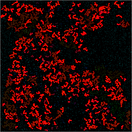Feature extraction analysis: Words with morphological infectious feature for a text originally in English - © www.forgottenlanguages.org
