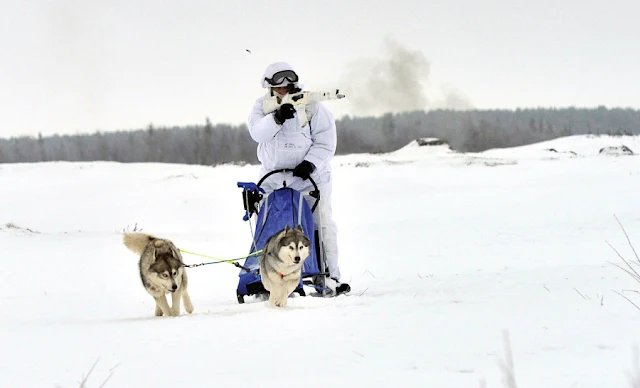 Image Attribute: A Russian serviceman of the Northern Fleet's Arctic mechanized infantry brigade participates in a military drill on riding reindeer and dog sleds near the settlement of Lovozero outside Murmansk, Russia January 23, 2017. Picture was taken January 23, 2017. Lev Fedoseyev/Ministry of Defence of the Russian Federation/Handout via REUTERS