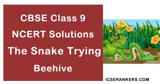 NCERT Solutions for Class 9th English Poem The Snake Trying