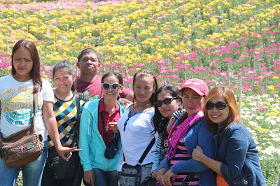 eden tupi, edens flower farm, Edens Flower Farm Tupi, flower farm tupi, flowers, mums, mums flower farm, roses, South Cotabato, tupi south cotabato, travel