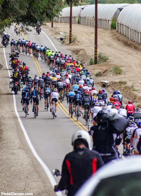 The peloton rides through Camarillo in 2015 ATOC