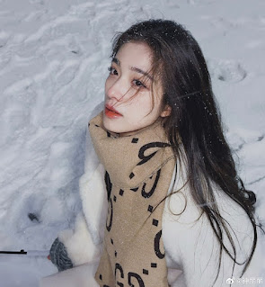 종려려