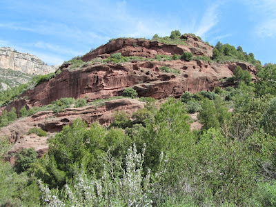 SERRA DEL MONTSANT LA MORERA DEL MONTSANT - GRAU DE LA GRALLERA - CLOT DEL CIRÉ - GRAU DE SALFORES - CARTOIXA D'ESCALADEI - LA MORERA DEL MONTSANT, camins dels Cartoixans al Montsant