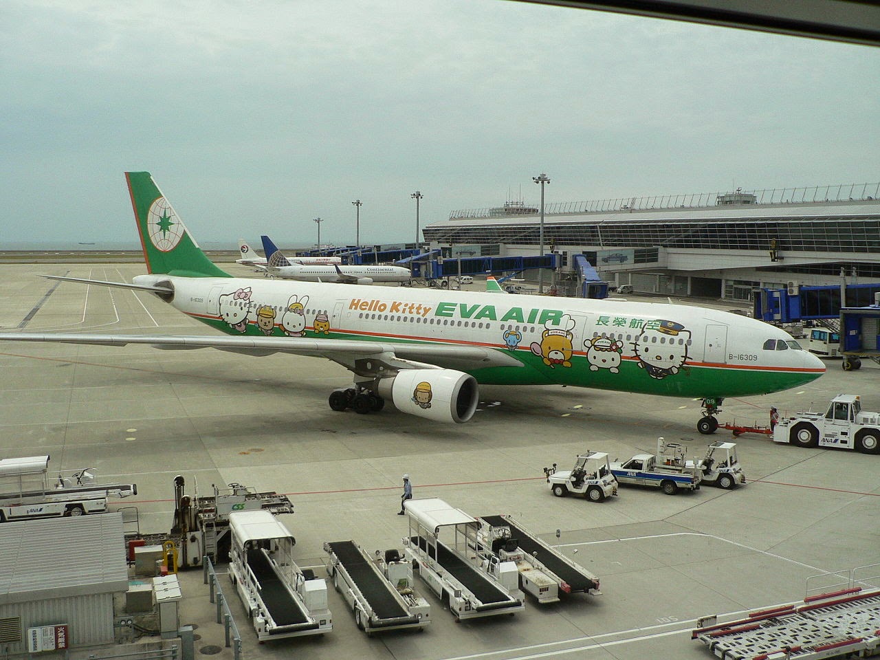 dai-ly-eva-air