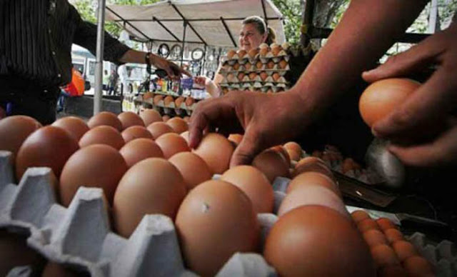 Cartón de huevos aumenta semanalmente en el Delta Amacuro.