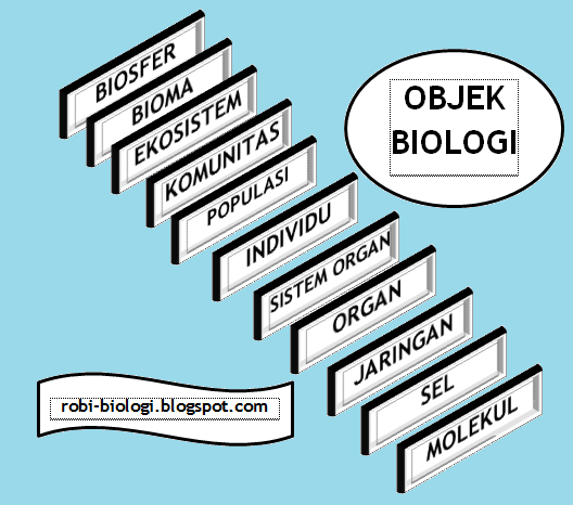 Objek dan Contoh Permasalahan Biologi - BELAJAR BIOLOGI