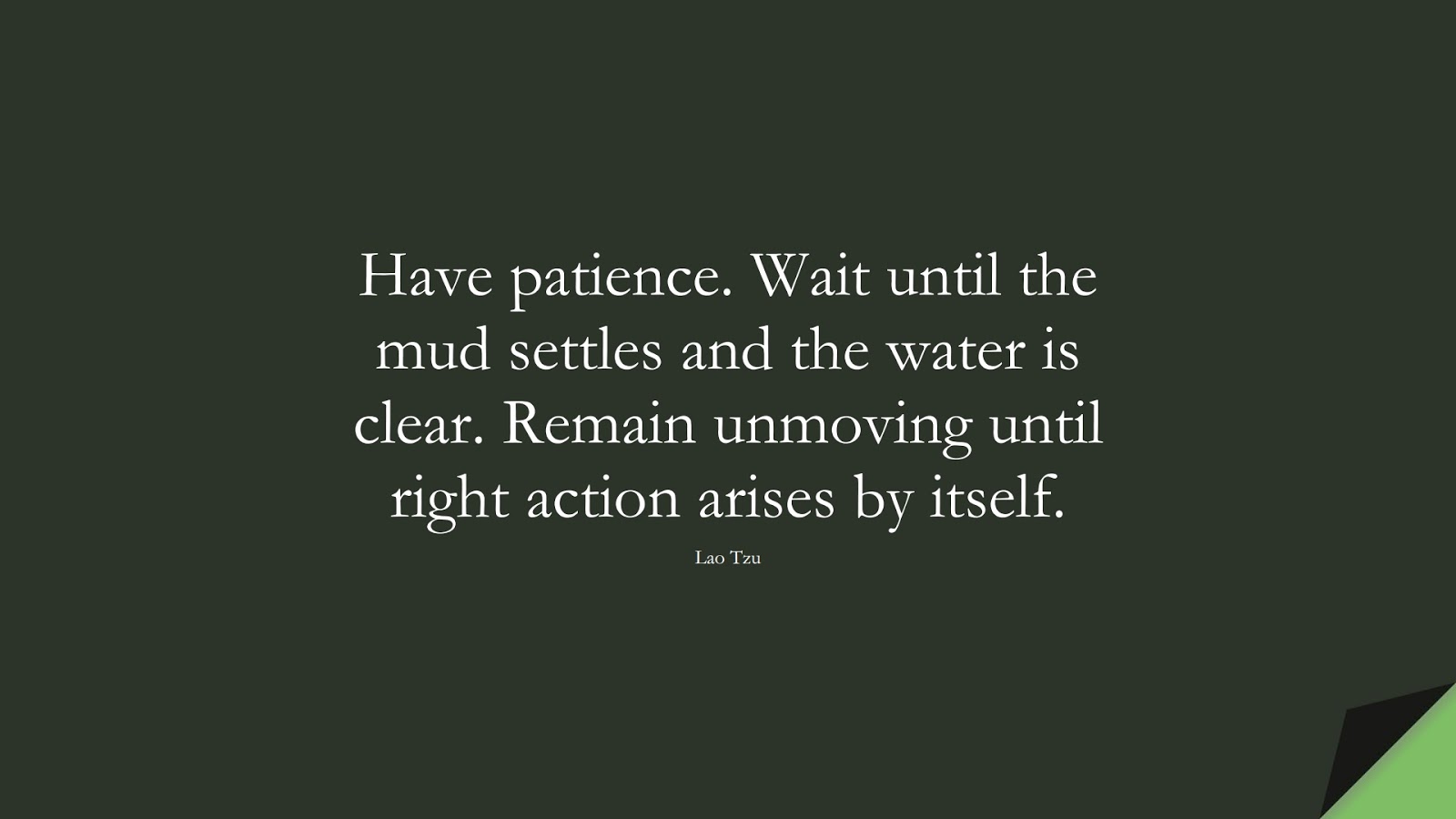 Have patience. Wait until the mud settles and the water is clear. Remain unmoving until right action arises by itself. (Lao Tzu);  #EncouragingQuotes