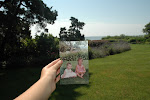Photo creads to my sis!