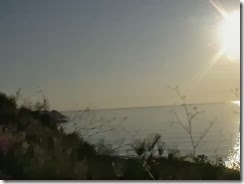 IMGA0229 IMGA0229
