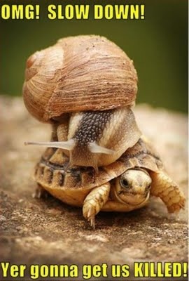 slow mcs