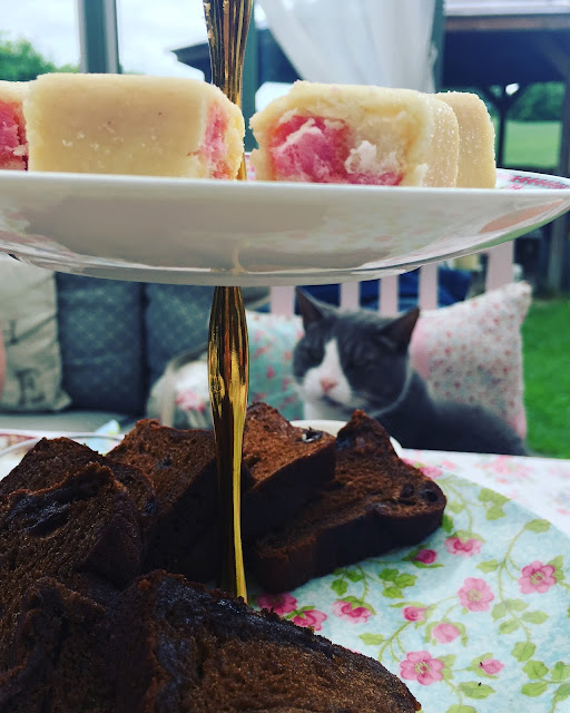 afternoon tea photobombed by cat