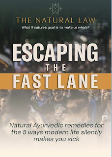 Escaping the fast lane E-book