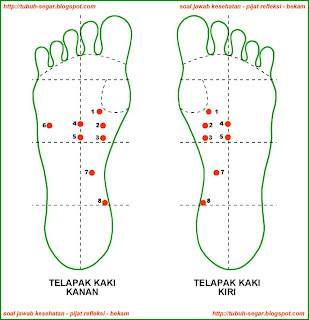 Pijat Refleksi - Herbal (++ Ramuan Herbal): DIABETES / KENCING GULA