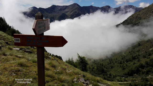 Cartello per la Valle degli orsi tra le nubi e l'erba