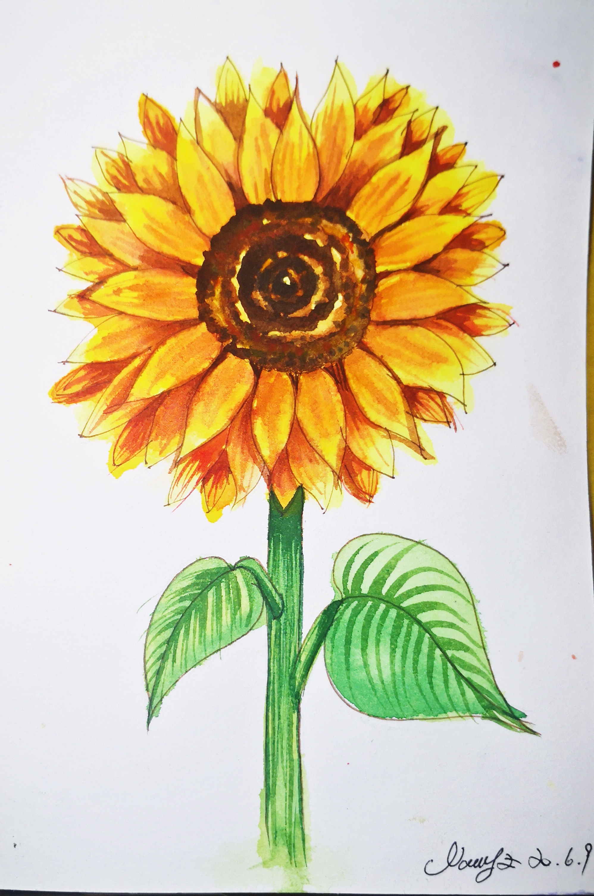 Super easy How to draw a sunflower with Watercolor and basic line tutorial step by step