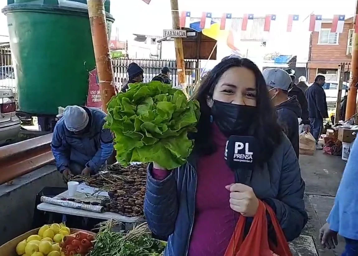 Osorno: Feria de Rahue - Sábado 24 de septiembre 2022