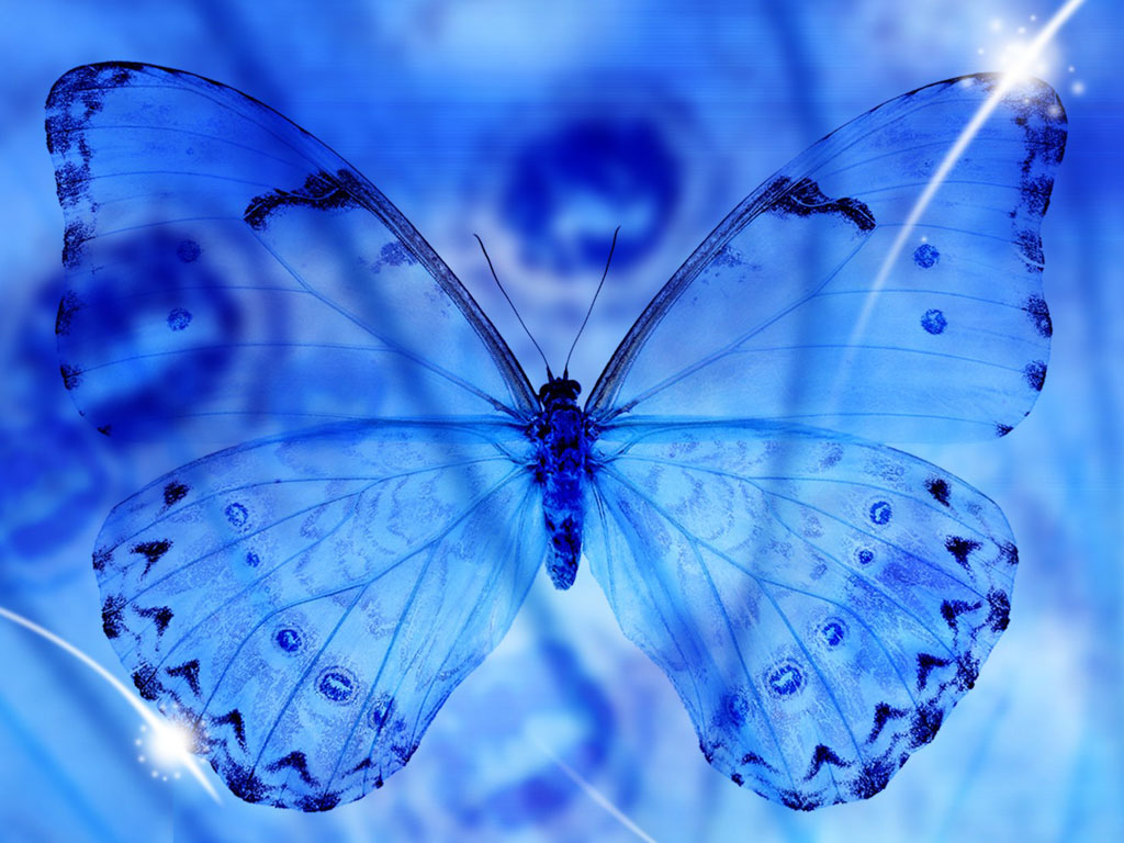 Wallpapers Blue Butterfly Art Wallpapers HD Wallpapers Download Free Map Images Wallpaper [wallpaper684.blogspot.com]