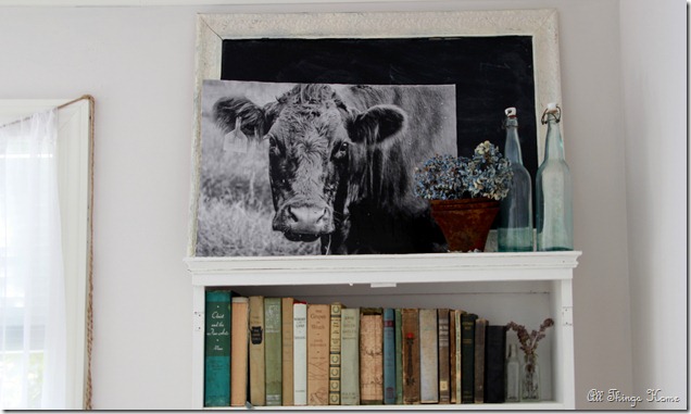 cow 5