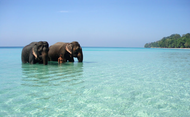 Rangat-Andaman-and-Nicobar-Island