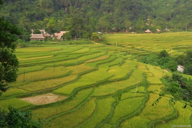 Best time to visit Pu Luong and Mai Chau