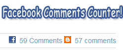 facebook comments counter