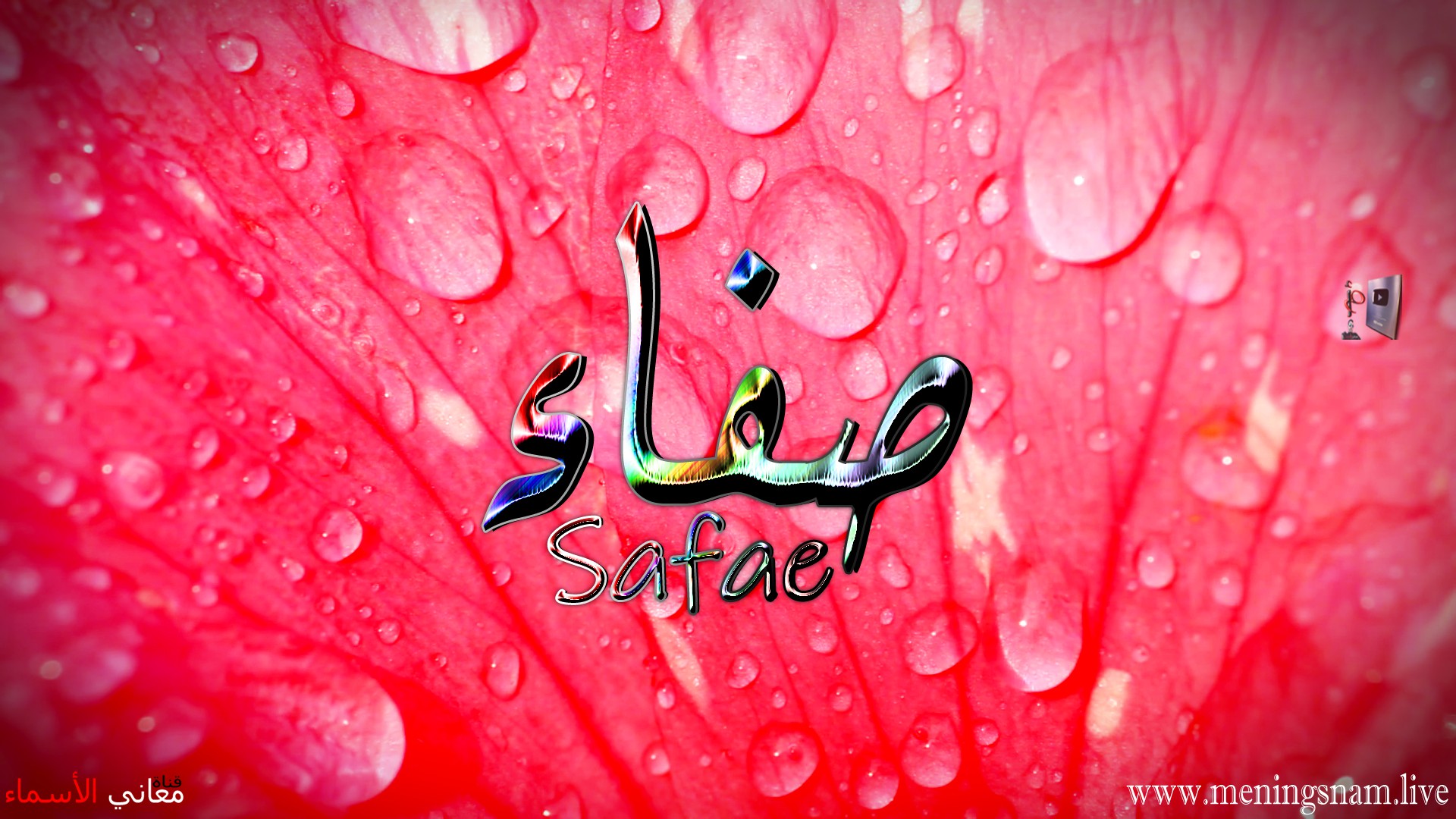 معنى اسم, صفاء, وصفات حاملة, هذا الاسم, Safae,