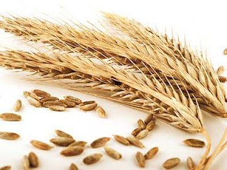 Whole Grains