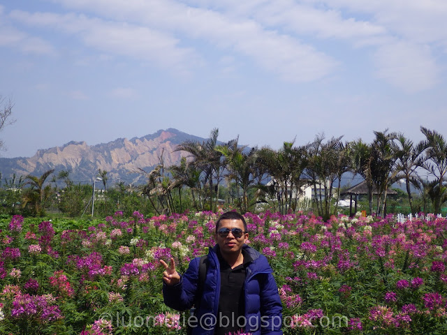 Zhongshe flower market taichung