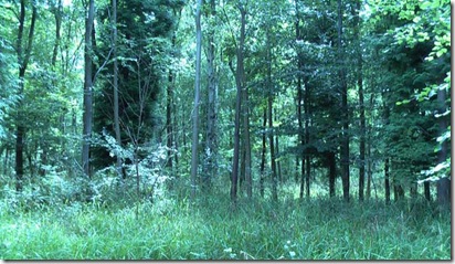 IMGA0839