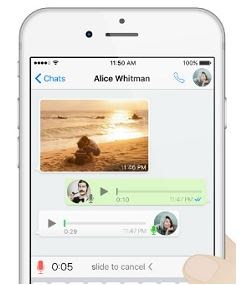 Voice Chat WhatsApp Tidak Berfungsi di iPhone