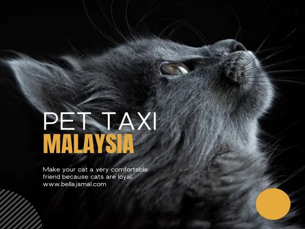 Pengalaman Guna Pet Taxi Malaysia