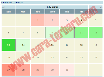 Cara Menghitung Masa Subur Wanita Online