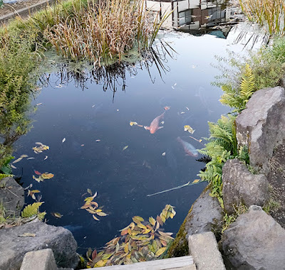 忍野八海