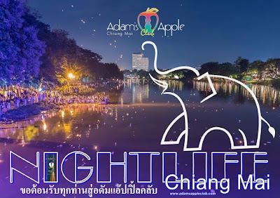 Nightlife Chiang Mai Adams Apple Club Host Bar Gay Bar Ladyboy Cabaret