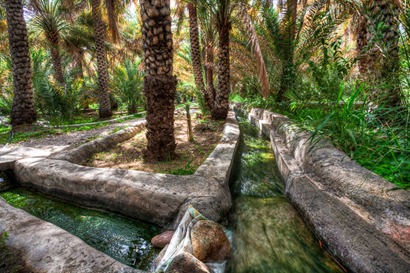 Gardens at Khutwa