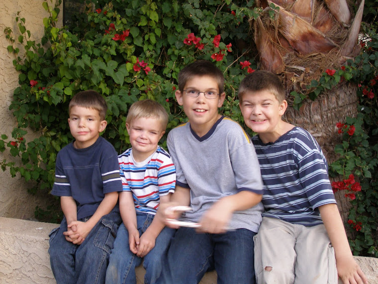 My silly boys