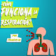 Sistema Respiratorio¿Cómo funciona la respiración?Aparato Respiratorio, Funciones y Anatomia Facil