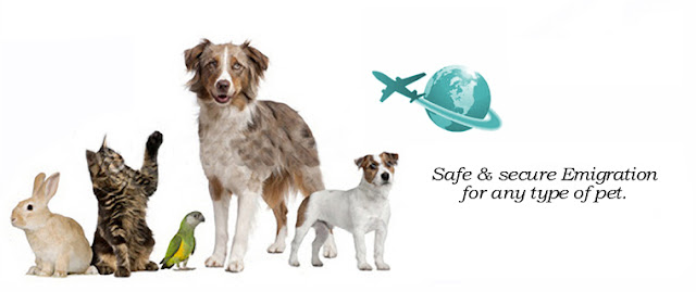 pet relocation services