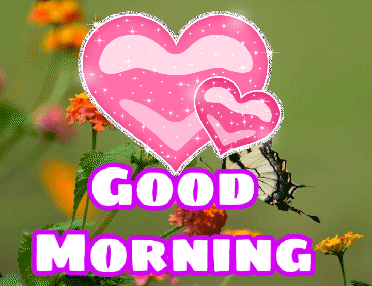 Good Morning Flower Images Free Download Best Wishes Image