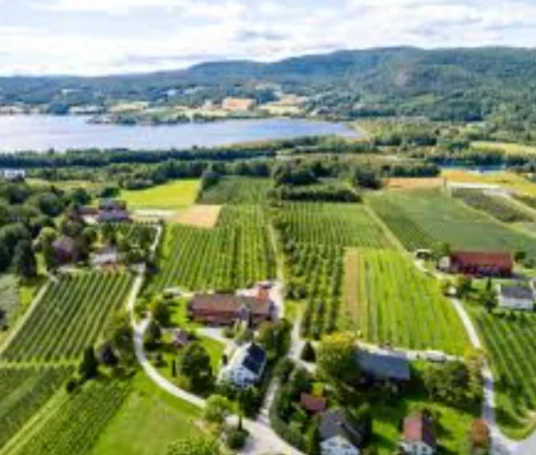 Outlook of Modern Agriculture in Norway
