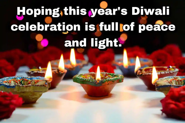 Hoping this year's Diwali celebration is full of peace and light.