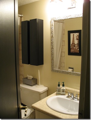 during condo bathroom