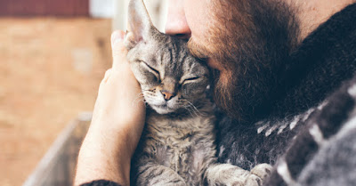 5 consejos para ganarse la confianza de un gato