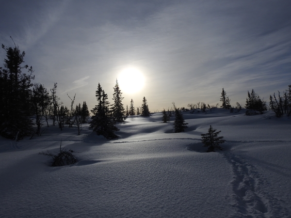 silkevassrunden teinvassåsen reset