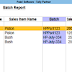 Customized Add-on: Batch Report for Tally Prime